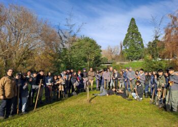 Red Ambiental Ciudadana y estudiantes de Liceo Adolfo Matthei plantaron árboles en Parque Chuyaca
