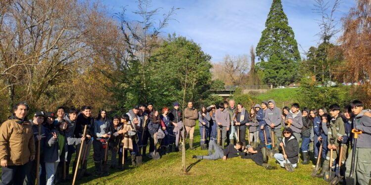 Red Ambiental Ciudadana y estudiantes de Liceo Adolfo Matthei plantaron árboles en Parque Chuyaca