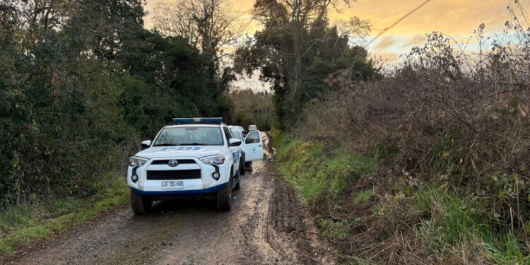 Osorno: Cadáver con disparos en la cabeza y abdomen fue hallado en ruta U-22