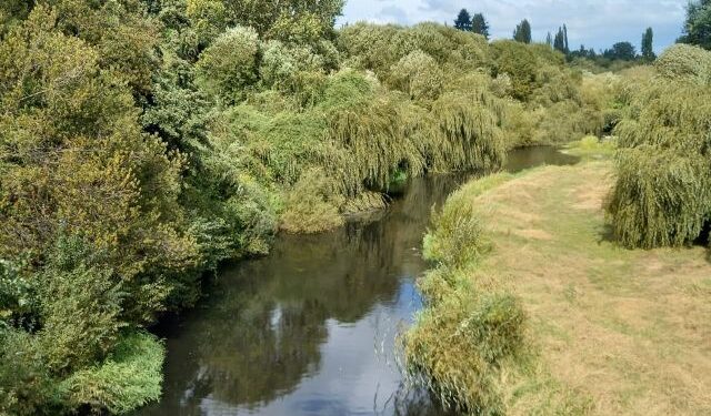 CORE Los Lagos oficiará a ministra de Medio Ambiente por falta de avances en protección de ríos Rahue y Damas