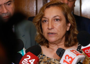 Renuncia la directora de Conaf en medio de paro de trabajadores y denuncias por maltrato