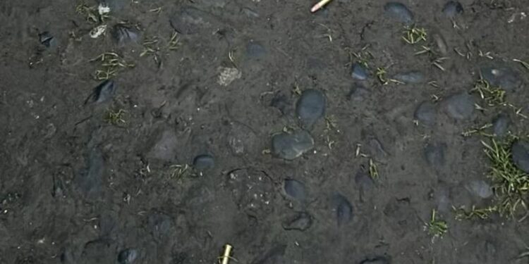 Preocupación causó hallazgo de balas en estacionamiento de Colegio Francés de Osorno