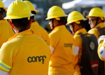 Trabajadores de Conaf anuncian paro indefinido en «rechazo» a la actual gestión