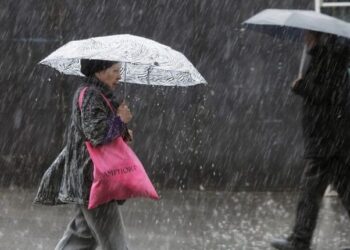 Cortes de luz y caídas de árboles por fuerte viento y lluvias desde la región de Bío Bío hacia el sur