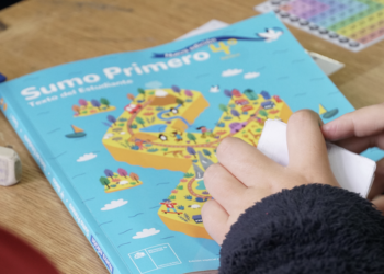 ULagos capacita a docentes de Chiloé en torno al Plan Nacional Sumo Primero