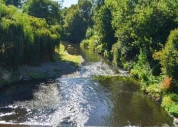Red Ambiental de Osorno envió carta a Ministra de Medio Ambiente por norma para ríos Rahue y Damas