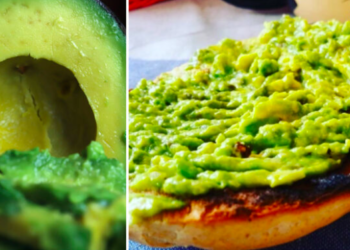 En Chile la palta es la reina: producción tocó máximo en 15 años y superó los 235 millones de kilos