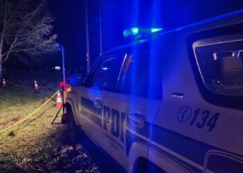 Encuentran osamentas humanas en parcelación del sector Río Tijeral en Osorno