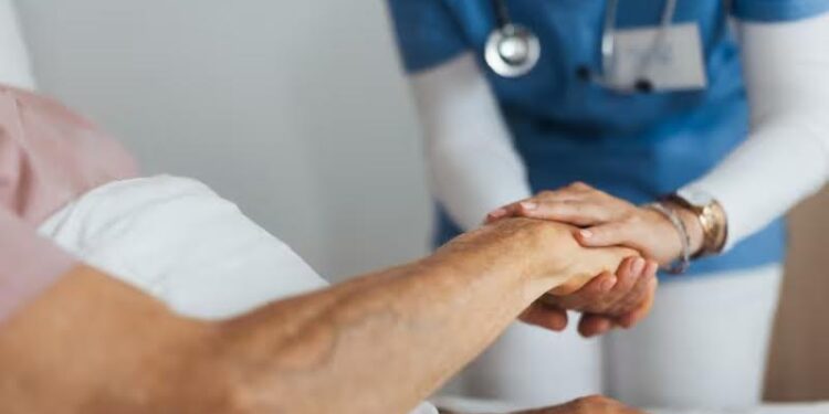 Investigación de Ulagos sobre desigualdades sociales y salud es publicada en revista científica internacional
