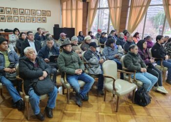 Mesa ovina abordó desarrollo del cordero Kunko en agricultura familiar campesina y pueblos originarios