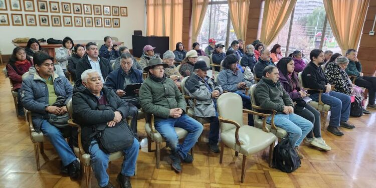 Mesa ovina abordó desarrollo del cordero Kunko en agricultura familiar campesina y pueblos originarios