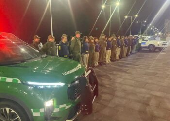 77 detenidos y más de 5 mil fiscalizaciones dejó operativo en región de Los Lagos