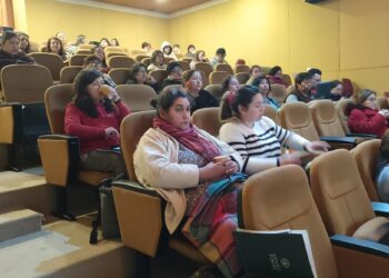 Más de 150 emprendedoras participaron en ciclo de charlas dictado por Santo Tomás Osorno