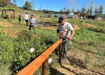 CONAF y Servicio de Salud Osorno dieron el vamos a proyecto de arborización en hospitales interculturales 