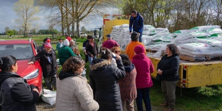 Osorno: Vecinos rurales recibieron semillas de hortalizas y sacos de concentrado para animales