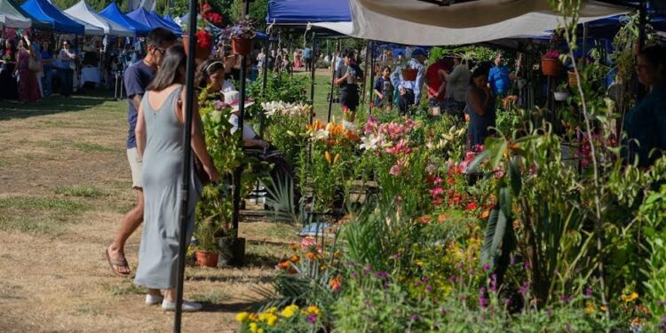 Osorno: “Expo primavera 2025” se realizará este fin de semana en parque Cuarto Centenario