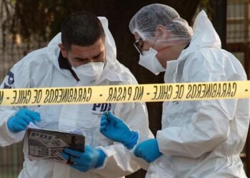 Encuentran cadáveres de padre e hijo en sector rural de Chiloé