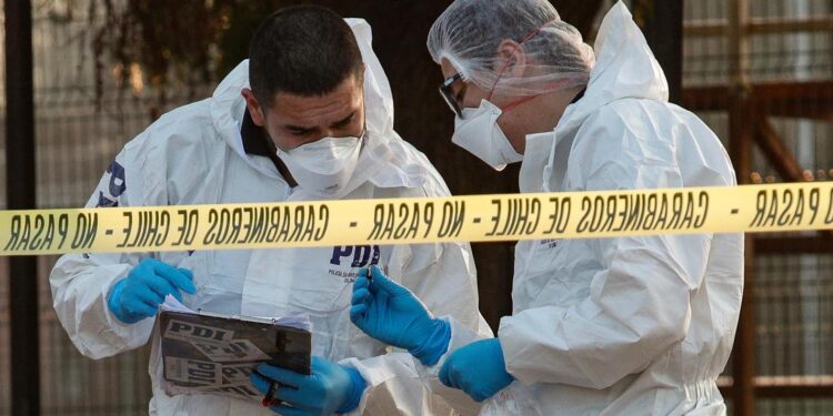 Encuentran cadáveres de padre e hijo en sector rural de Chiloé