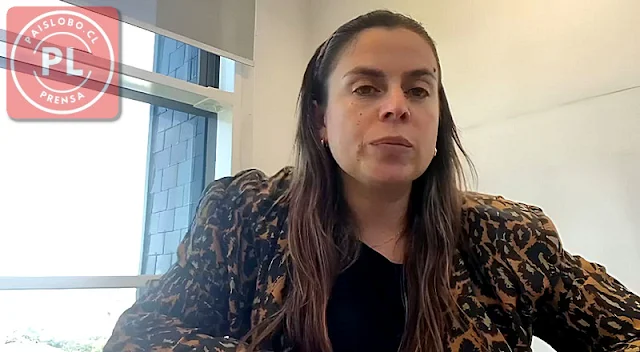 Prisión preventiva para imputado por parricidio de lactante en Hualaihué