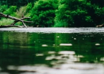 Encuentran a hombre fallecido al interior de un estero en sector Iluhue de Lago Ranco