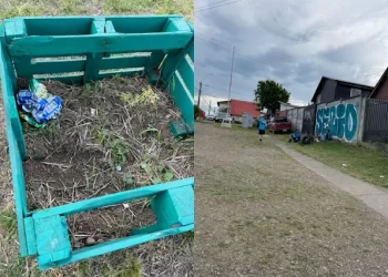 Osorno: Indignación vecinal por reiterados ataques y vandalismo contra huerto urbano