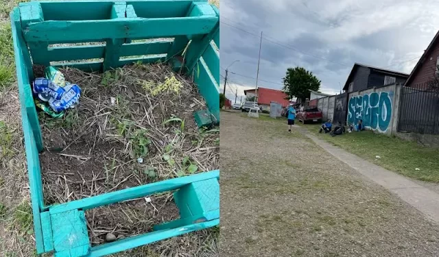 Osorno: Indignación vecinal por reiterados ataques y vandalismo contra huerto urbano