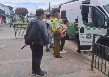 Detenidos por hurto e intento de agresión en supermercado de Río Bueno