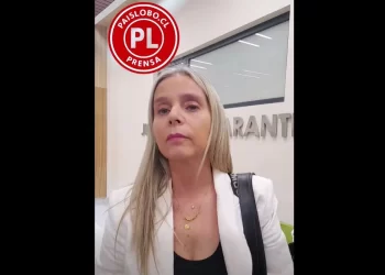 Fiscalía de Osorno solicitó ampliación de detención para acosador