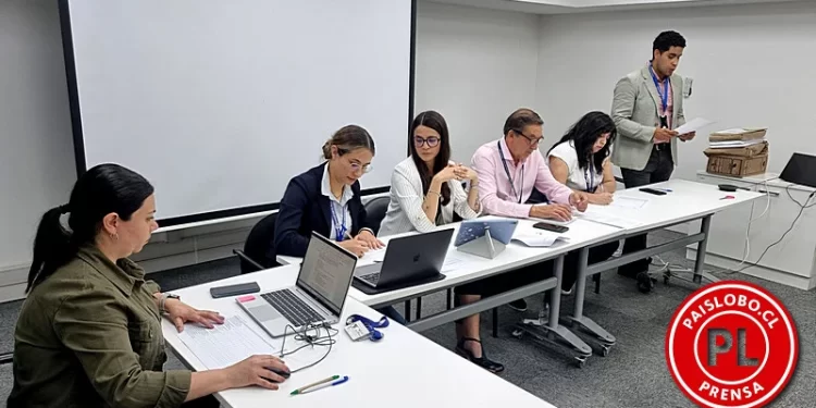 15 ofertas para operar la nueva flota de 168 buses en Osorno