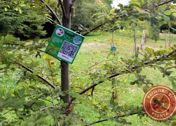 Colegio Antillanca y Red Ambiental inauguran sistema de códigos QR en Parque Chuyaca