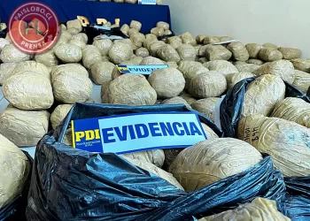 PDI desarticula banda tras incautar 650 kilos de cannabis en Puerto Montt
