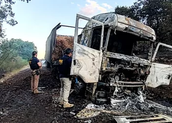 Sujetos armados queman camión en Angol