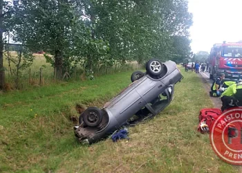 Río Bueno: SIAT investiga fatal accidente