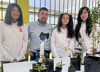 Estudiantes y su profesor investigan sobre el efecto de árboles exóticos en la contaminación de Osorno