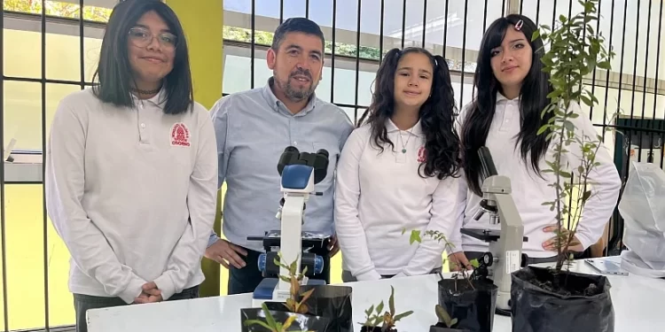 Estudiantes y su profesor investigan sobre el efecto de árboles exóticos en la contaminación de Osorno