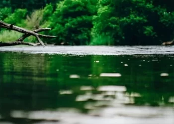 Intensa búsqueda de joven desaparecido tras caer a las aguas del río Pilmaiquén