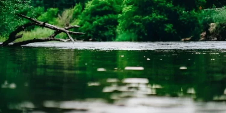 Intensa búsqueda de joven desaparecido tras caer a las aguas del río Pilmaiquén