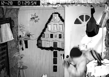 Robo a emprendedora deja a familia de niña con TEA sin sustento económico