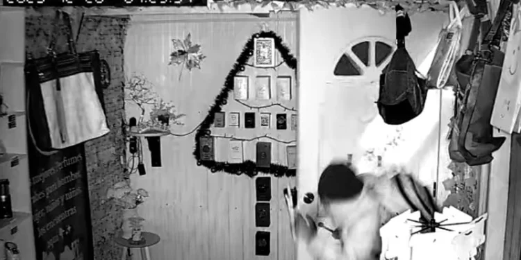 Robo a emprendedora deja a familia de niña con TEA sin sustento económico