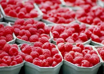 Chile acumula 15 meses de alzas y exportaciones superan los US$ 95 mil millones