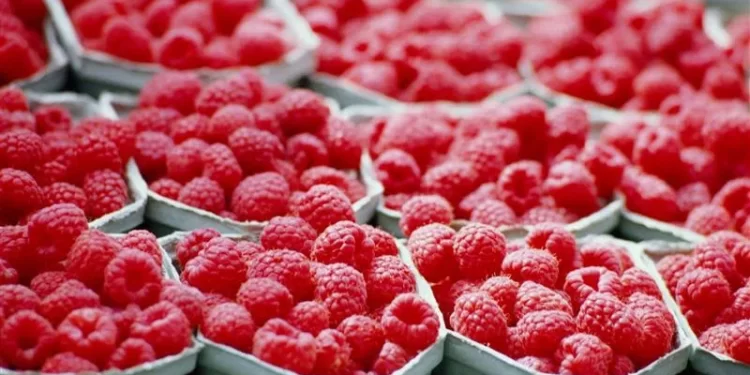 Chile acumula 15 meses de alzas y exportaciones superan los US$ 95 mil millones