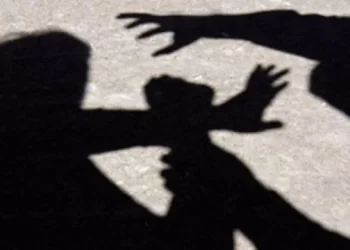 Hijo evitó femicidio tras defender a su madre de agresión