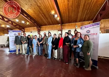 Lanzan proyecto para rescatar oficios tradicionales en Los Lagos