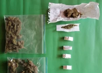 Purranque: Carabineros detiene a mujer por infracción a la Ley 20.000