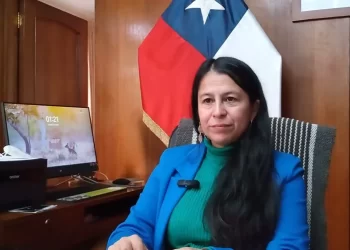Ruta 215: Reposición de tramo Samoré y retiro de puente mecano en El Gringo