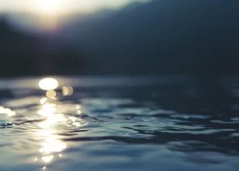 Estuario Reloncaví: Buscan a seis tripulantes tras hundimiento de embarcación