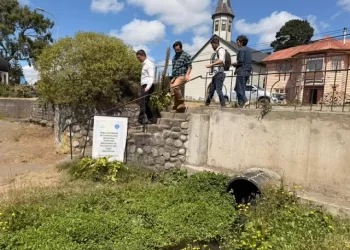 Frutillar: Crearán primer humedal para proteger el Lago Llanquihue