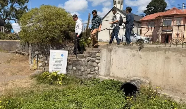 Frutillar: Crearán primer humedal para proteger el Lago Llanquihue