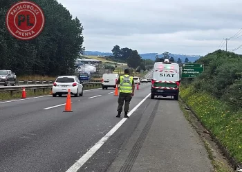Hallazgo de cuerpo en Ruta 5 Sur: Investigan conexión con accidente previo