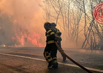 21 mil damnificados y 21 fallecidos deja ola de incendios forestales